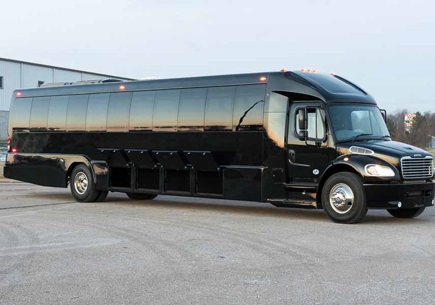 VIP Executive Coach