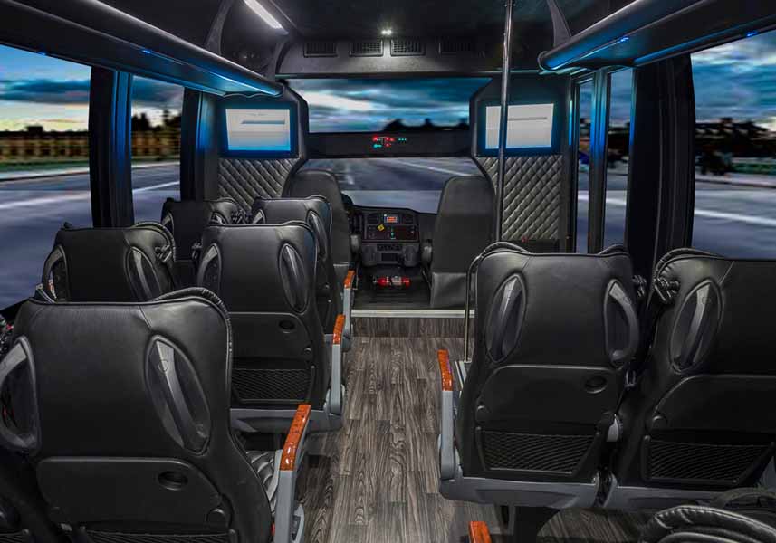 VIP Executive Coach