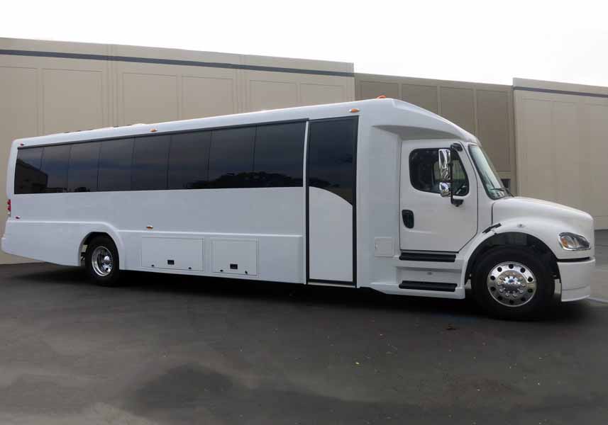 VIP Executive Coach