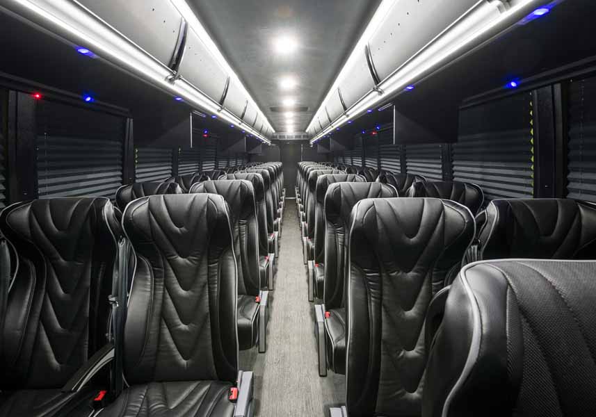VIP Executive Coach