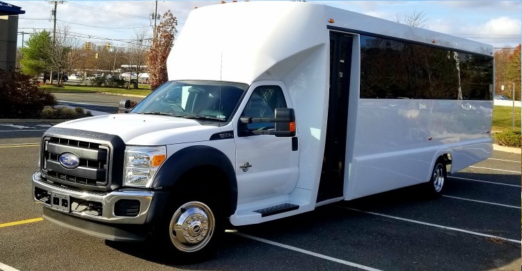 Mini Coach