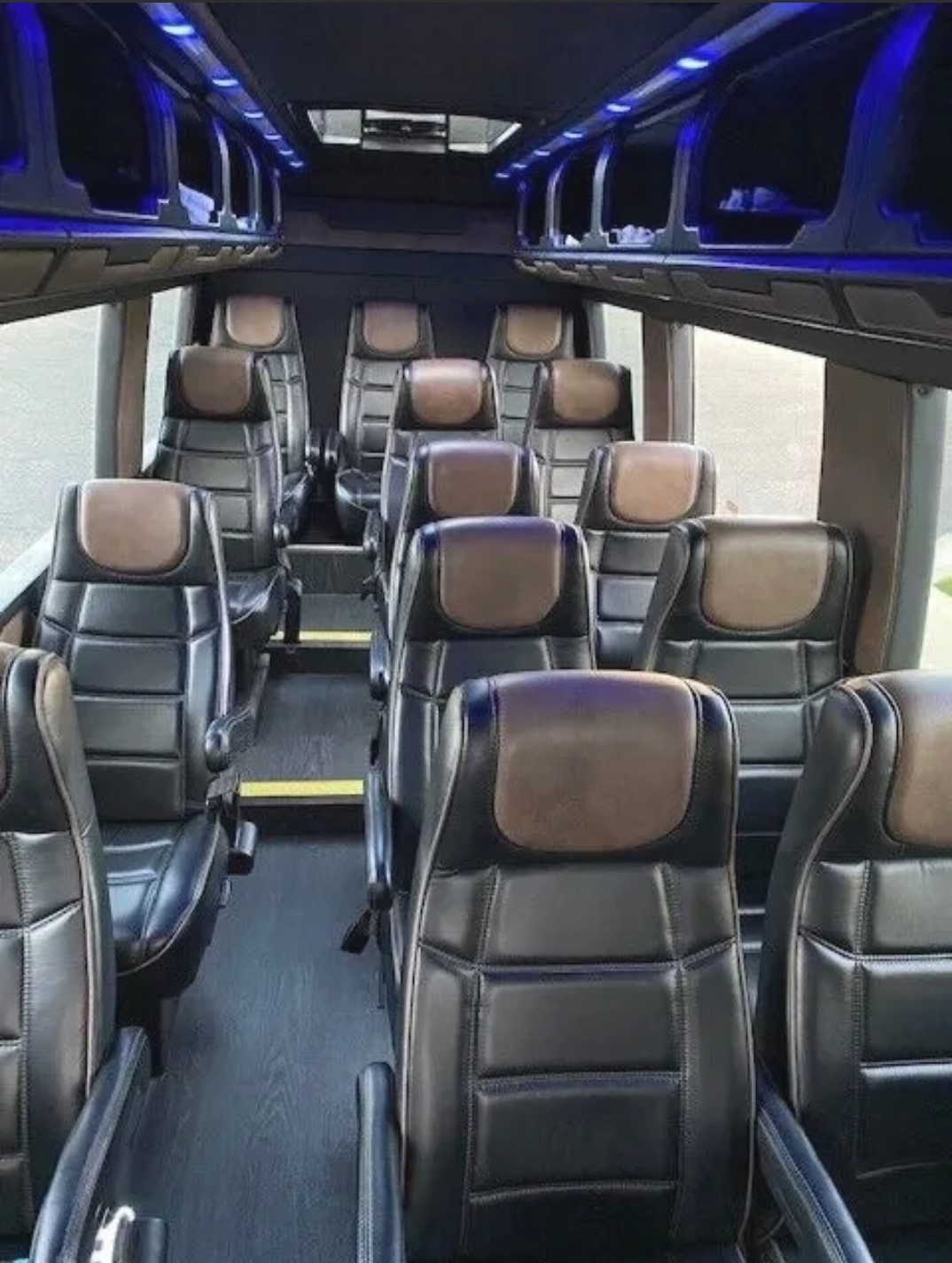 VIP Executive Van