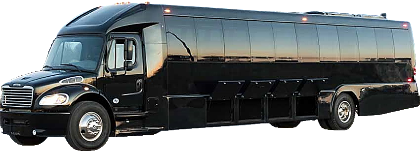 Executive coach